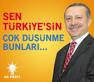 Cok+Dusunme+Turkiye-RTE+(Penguen)2-719307.jpg