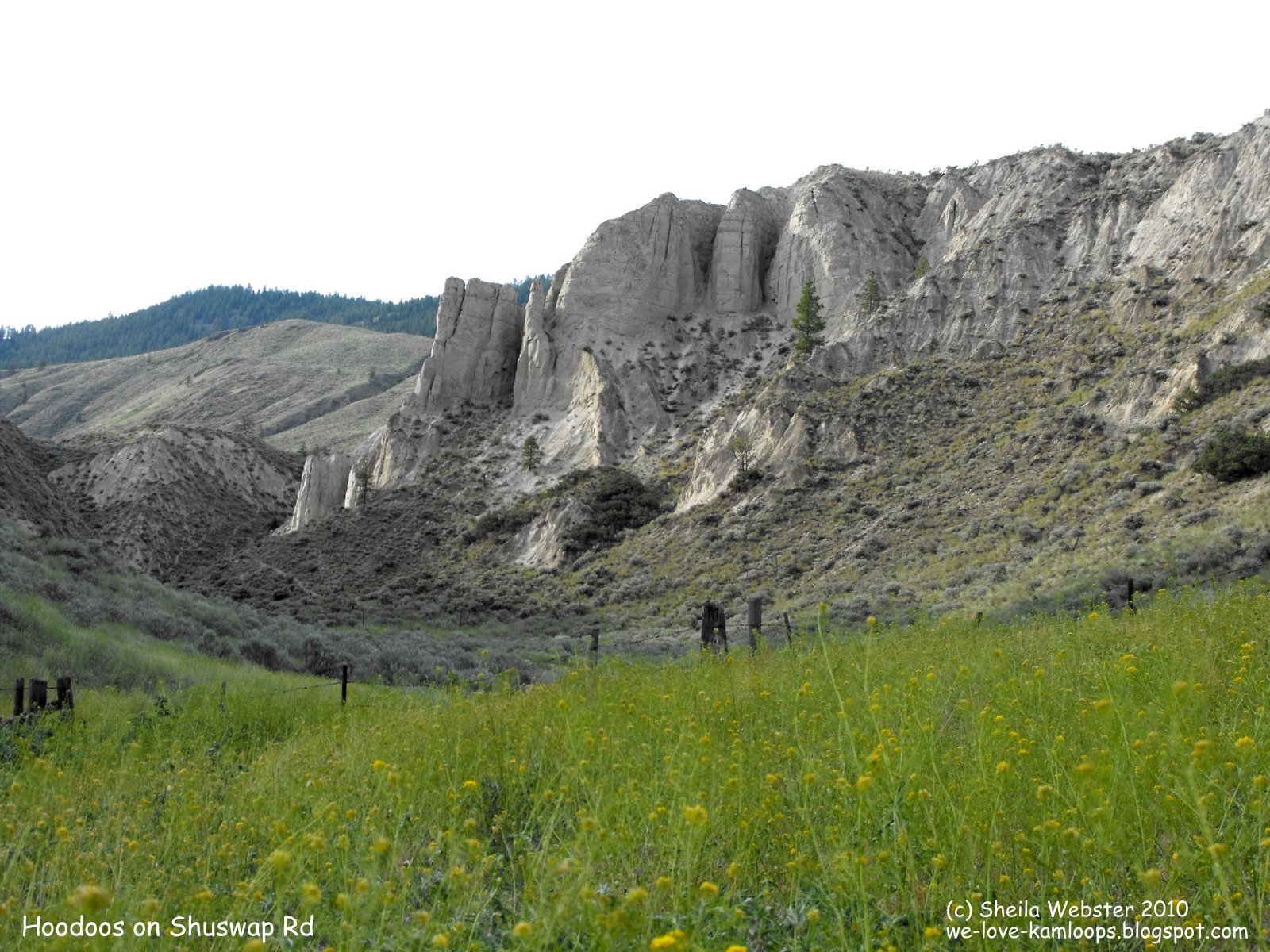 welovekamloops Kamloops Hoodoos Mountain Bluebird