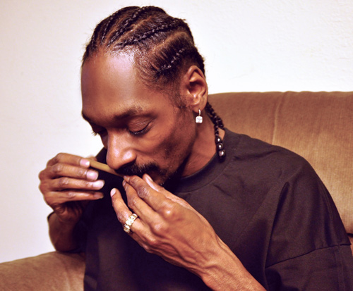 Home Alone Stoned: Snoop Dogg's Guide to Rolling a Blunt Doggy-Style