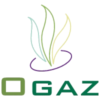 Ogaz 77