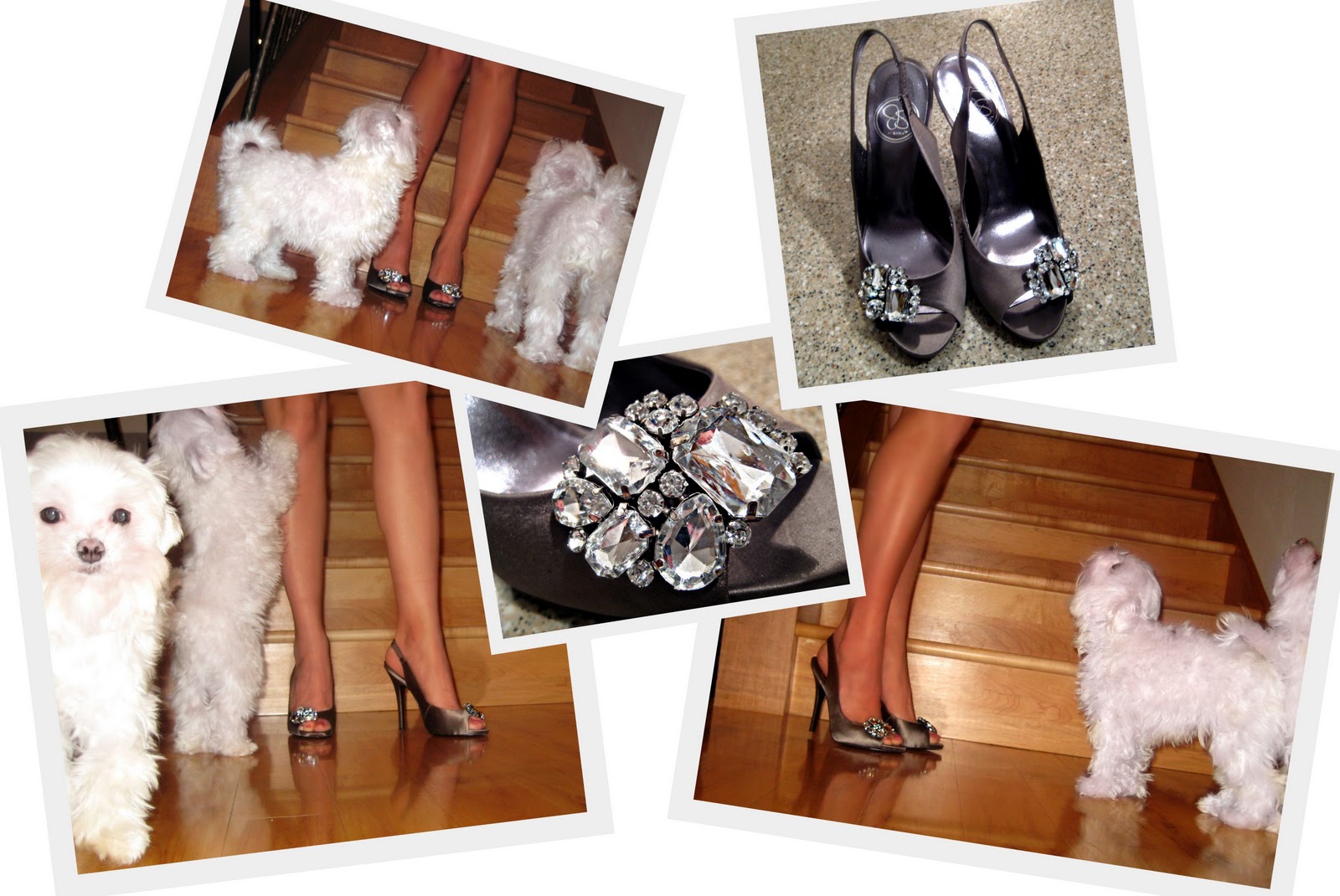 http://2.bp.blogspot.com/_FhopQJCeVu8/TUzClTUWiwI/AAAAAAAACo4/KSTLdHx9qMc/s1600/2011-01-21+Jessica+Simpson+Shoes.jpg