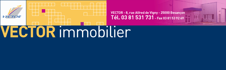 VECTOR IMMOBILIER