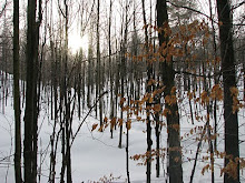 Frank Bowick's photo that inspired the cover for In Winter's Grip