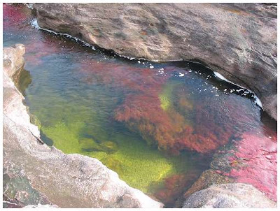 Cano-Cristales-1.jpg