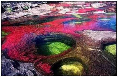 Cano-Cristales-5.jpg
