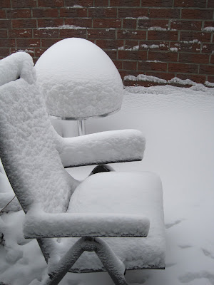 Kuestensocke Januar 10