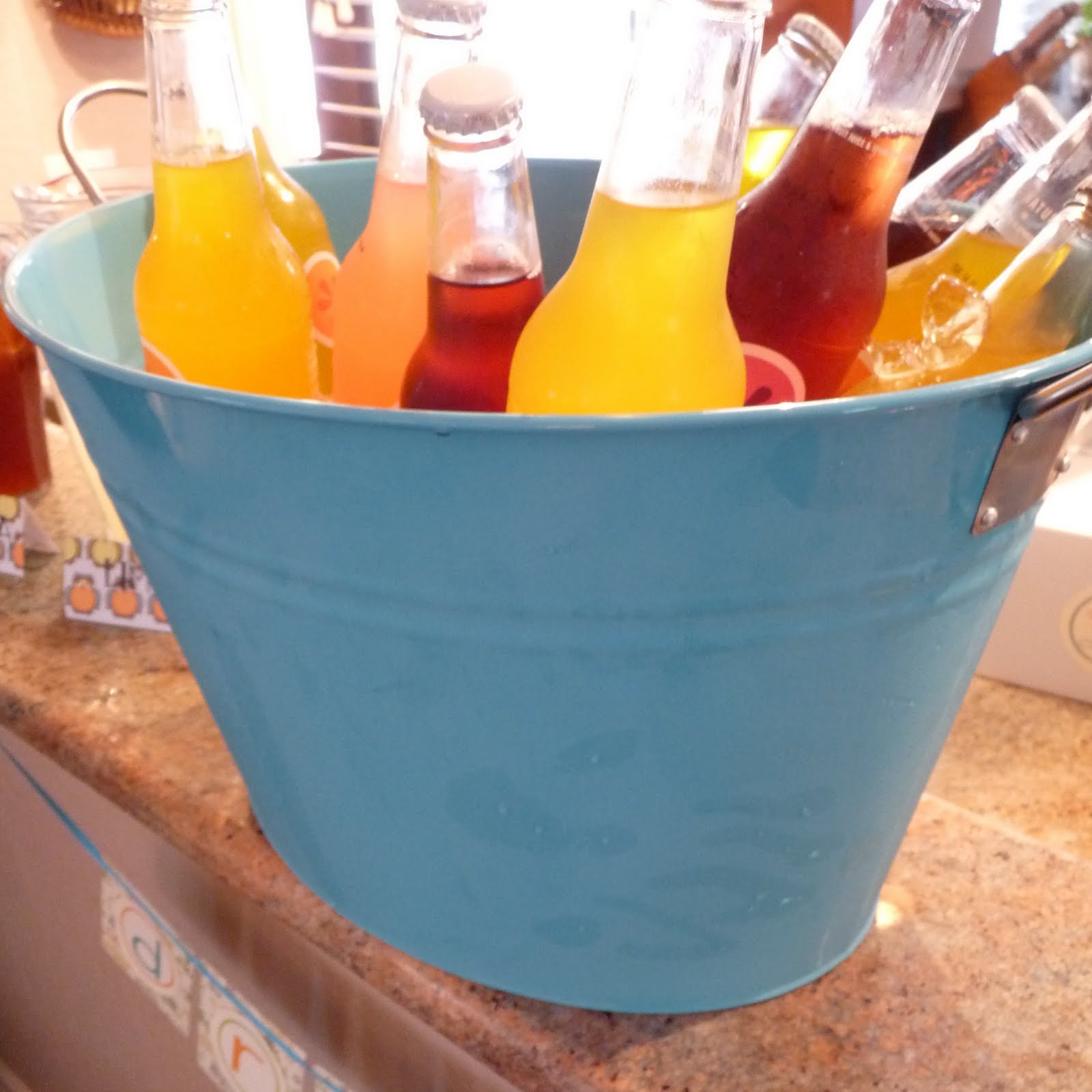 An Owl In The Shower