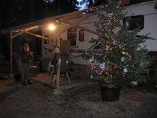 Our Christmas Tree