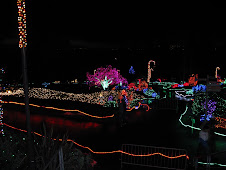 Zoo Lights