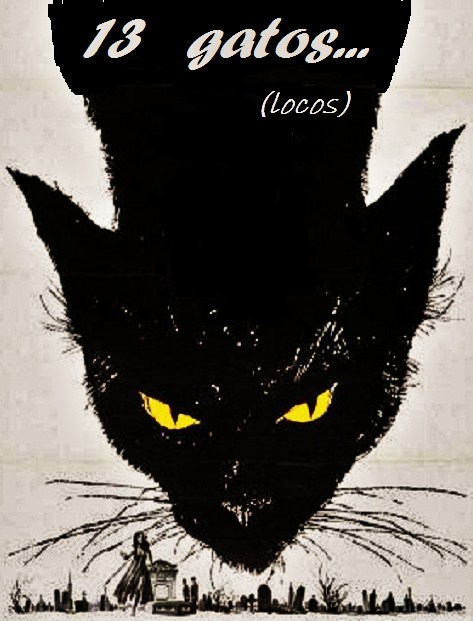 13 gatos locos