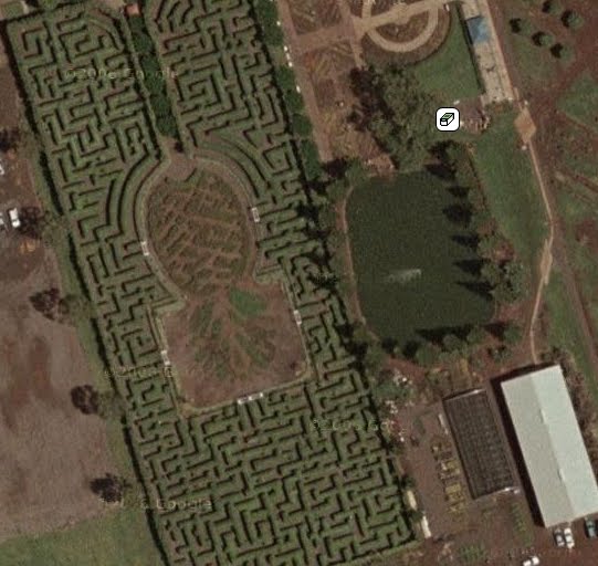 [PineappleExpress.jpg]