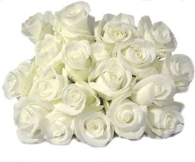 Group of White Roses picture