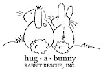 Hug-a-Bunny Rabbit Rescue's Website