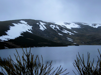 Escapada a Sanabria. - Blogs of Spain - Día 1 : Lago de Sanabria y Cascadas del Sotillo. (6)