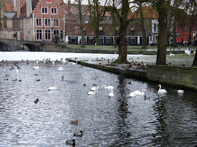 Caer bajo el hechizo de Brujas. - Blogs de Belgica - Un día en Brujas. (3)