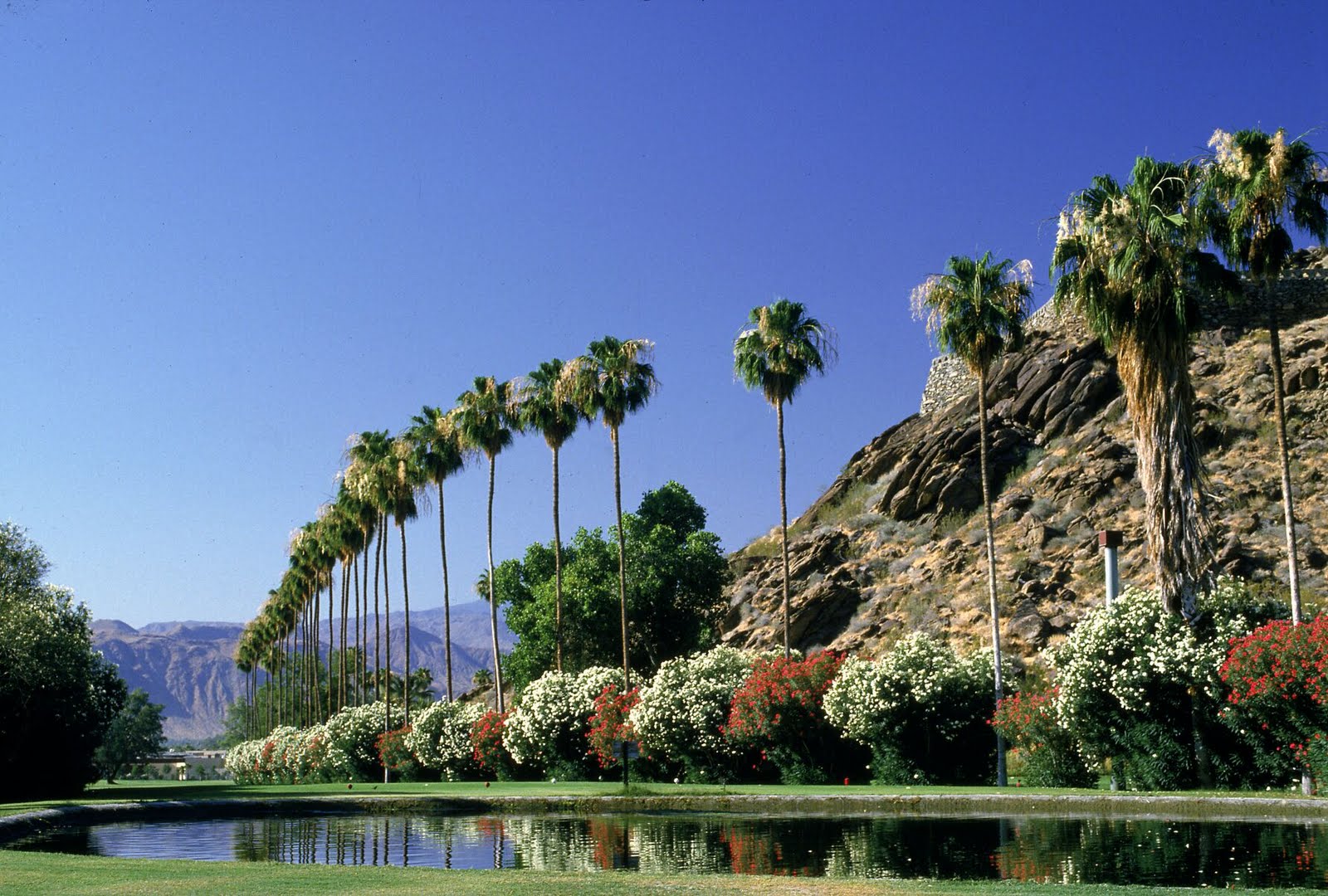 [PalmSprings.jpg]