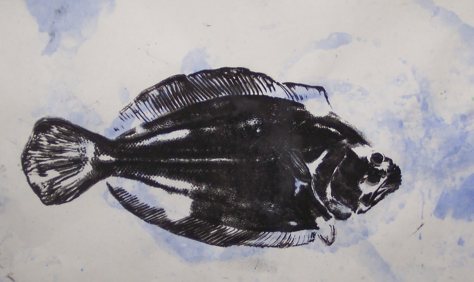Chin Colle: Gyotaku Prints