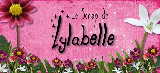 Le Scrap de Lylabelle