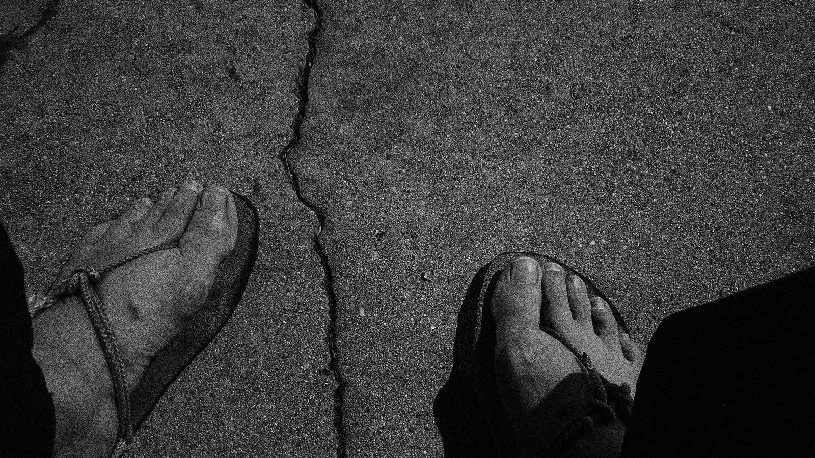 Introspective sage essay 04 image