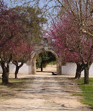 Convento da Serra