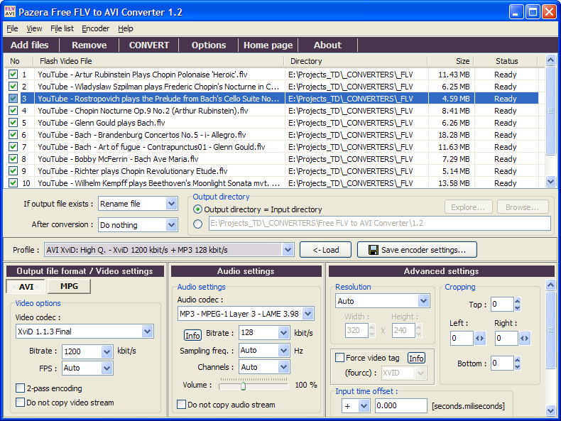 flv avi converter