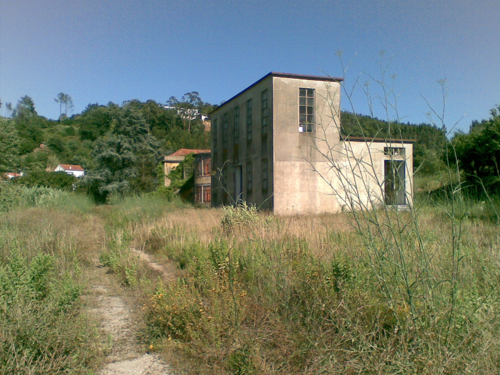 [pcampismosapinho17072009(005).jpg]