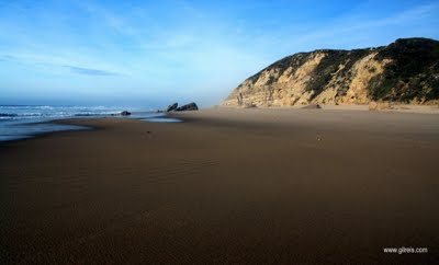[Polvoeira1-1024x620.jpg]