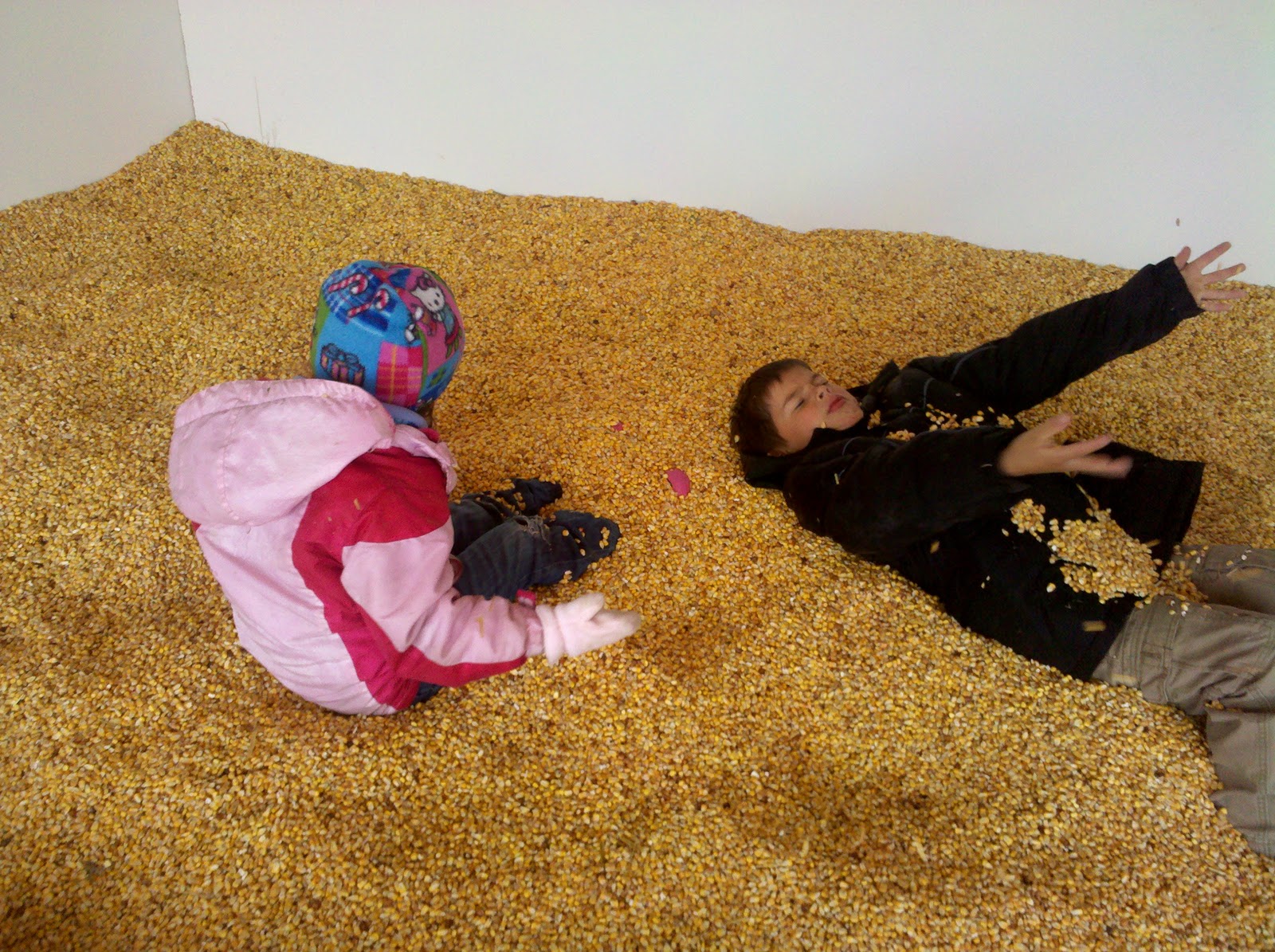 The Leonard Family Corn maze, Bozeman, MT