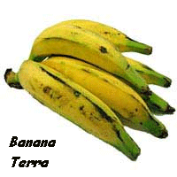 [g_BananaTerra-g+(1).gif]