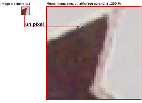 Image pixelisée car la taille d'affichage de l'image est agrandit par rapport à sa résolution de sortie initiale