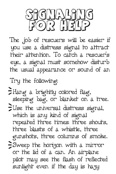 [Signaling+For+Help.jpg]