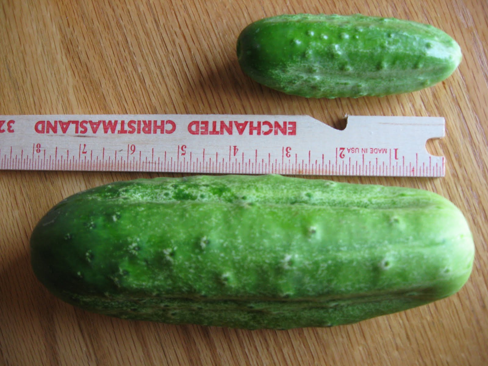 sUStaining In A Pickle