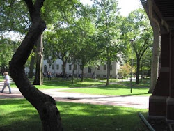 Harvard