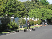 FAMILY across the road