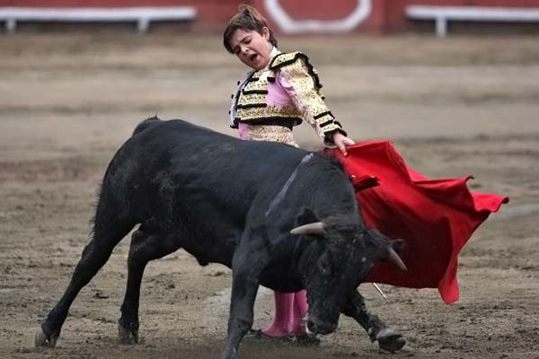 [kid-bullfighter-mexico-06.jpg]