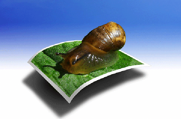 [Amazing+Out+of+Bound+Photomanipulation-4..png]