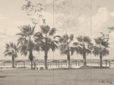 пальмы, старинное фото, ретро