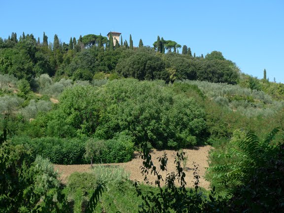 our home at the hill