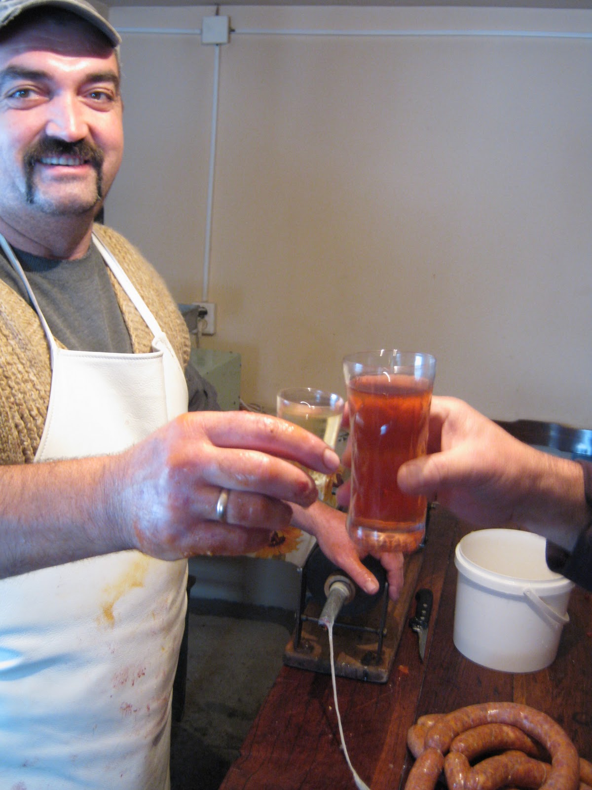 Clare's Travels Cermei & Ineu, Romania