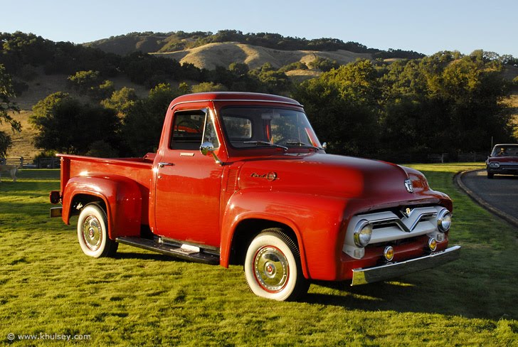 coldantlerfarm: happy birthday ford!