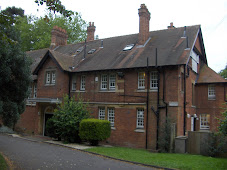 The Vines
