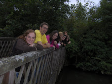 Bridge over a Canal