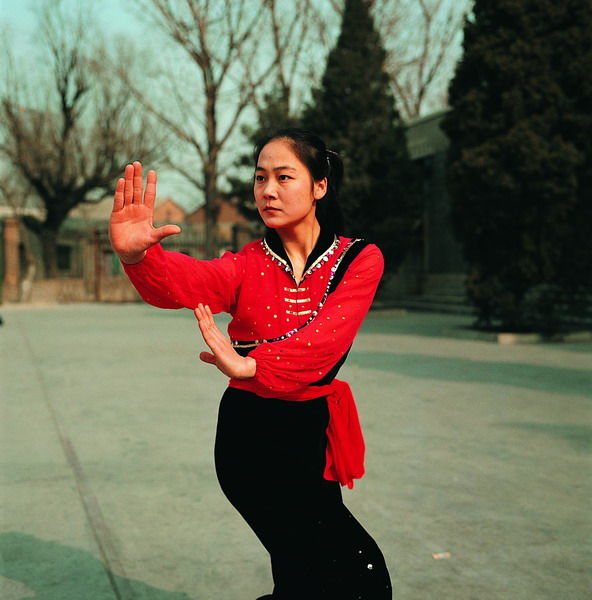 Bagua-Zhang-Basic-Styles.jpg
