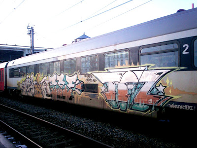 train graffiti artist TFZ MPL crew