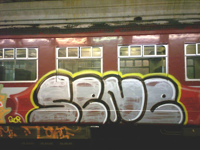 sene train graffiti
