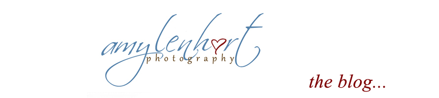 amy lenhart photography