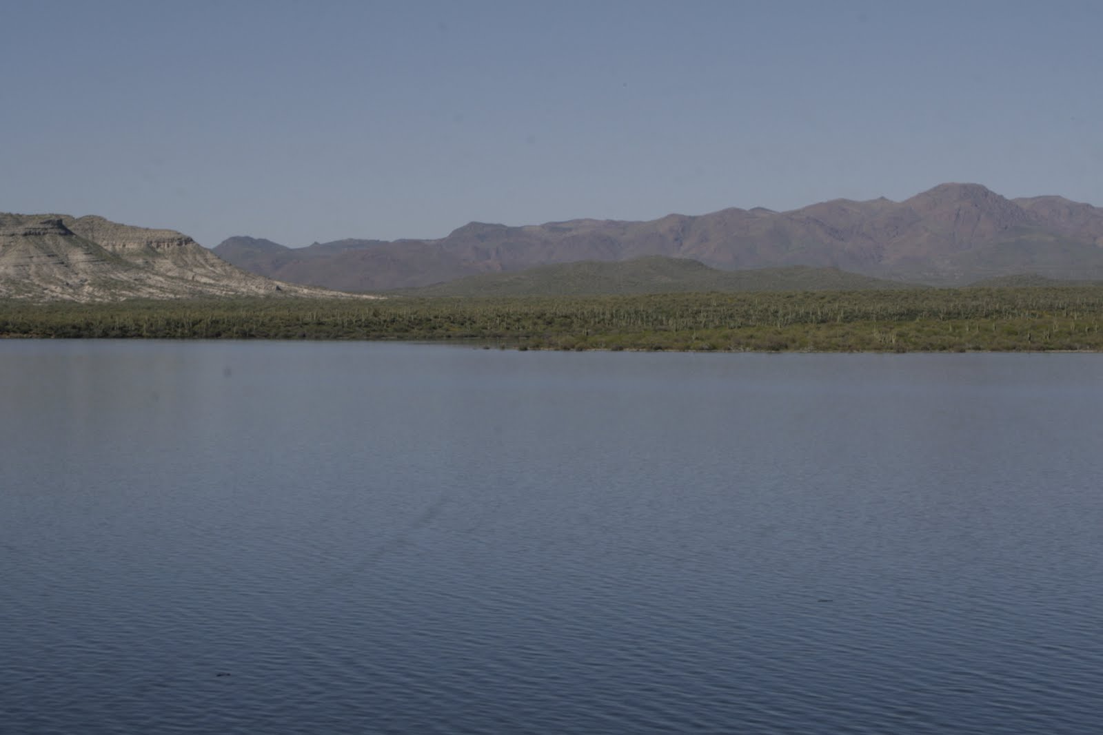 Darren's Rides Horseshoe Lake Arizona