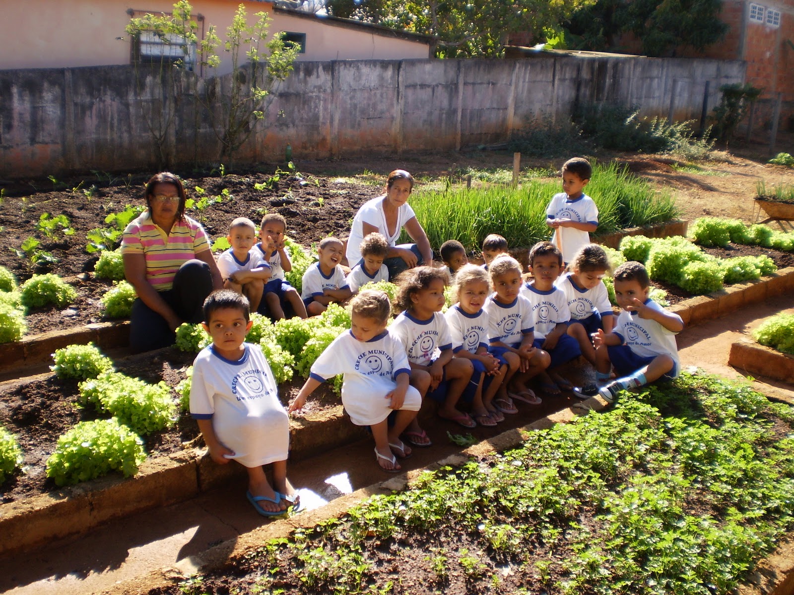 Creche Municipal Laura Vicuña: Projeto horta na creche