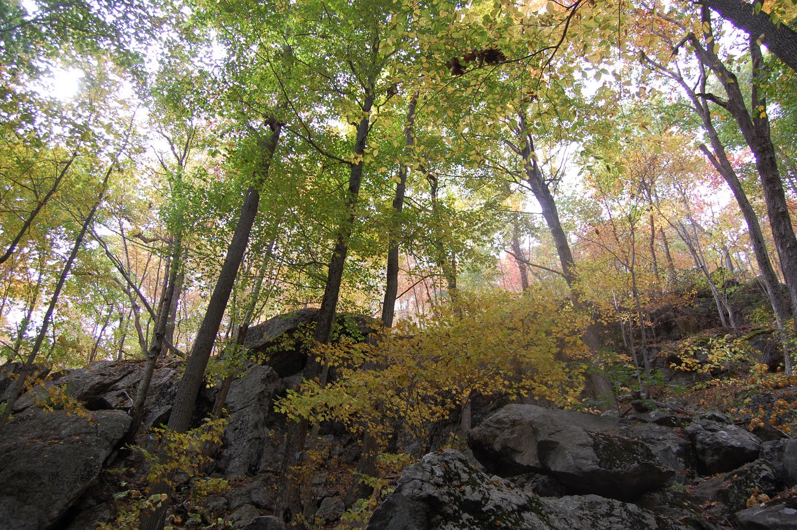 Just Humor Me Macedonia Brook State Park