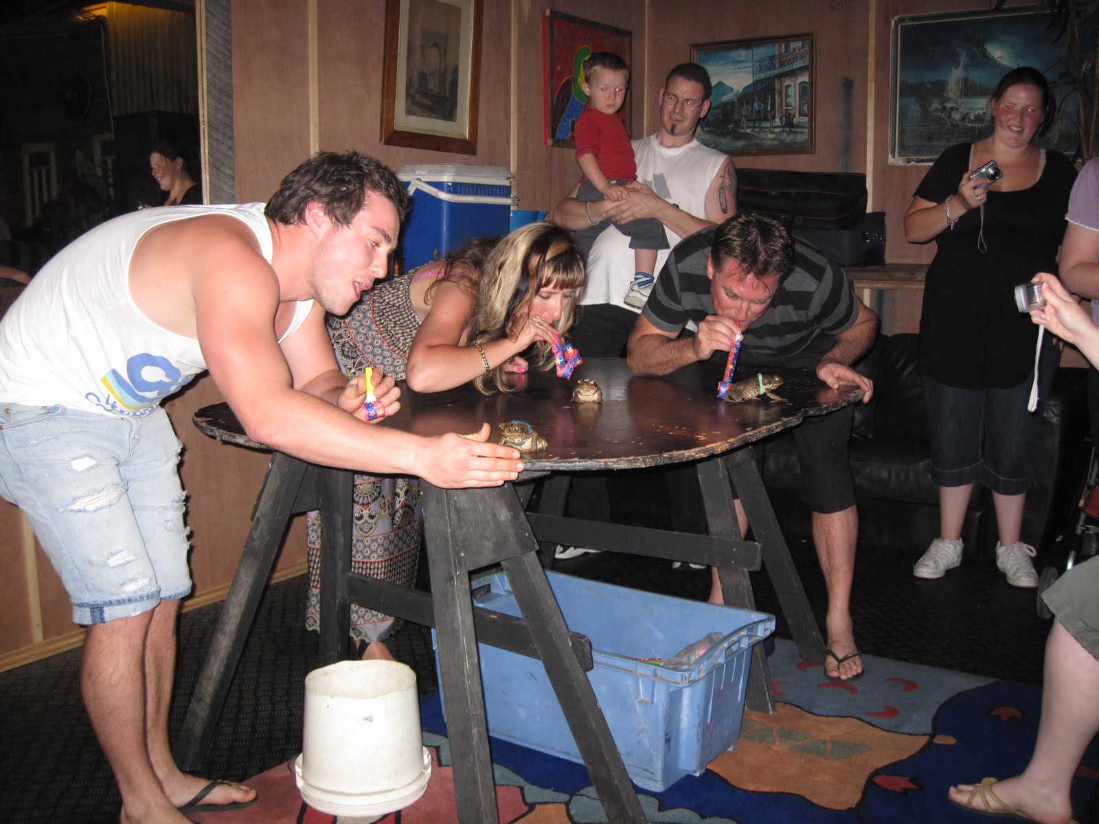 Movin' Cross Country!: Cane Toad Racing